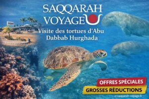 Visite des tortues d'Abu Dabbab Hurghada