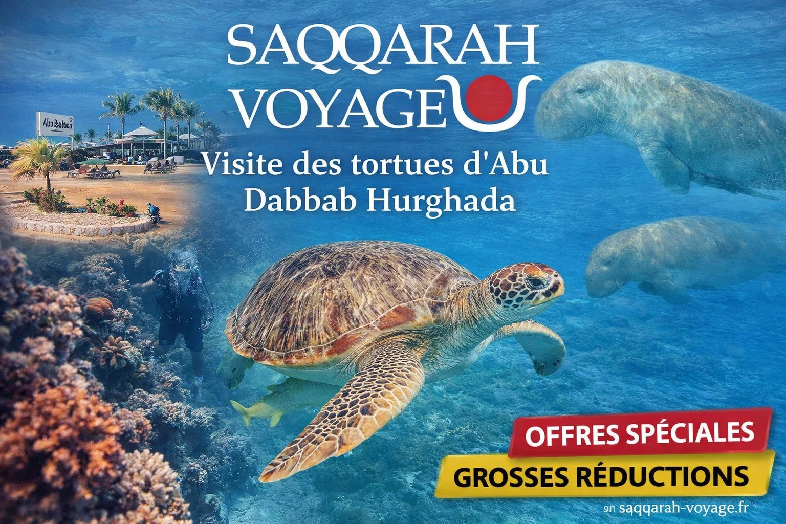 Visite des tortues d’Abu Dabbab Hurghada