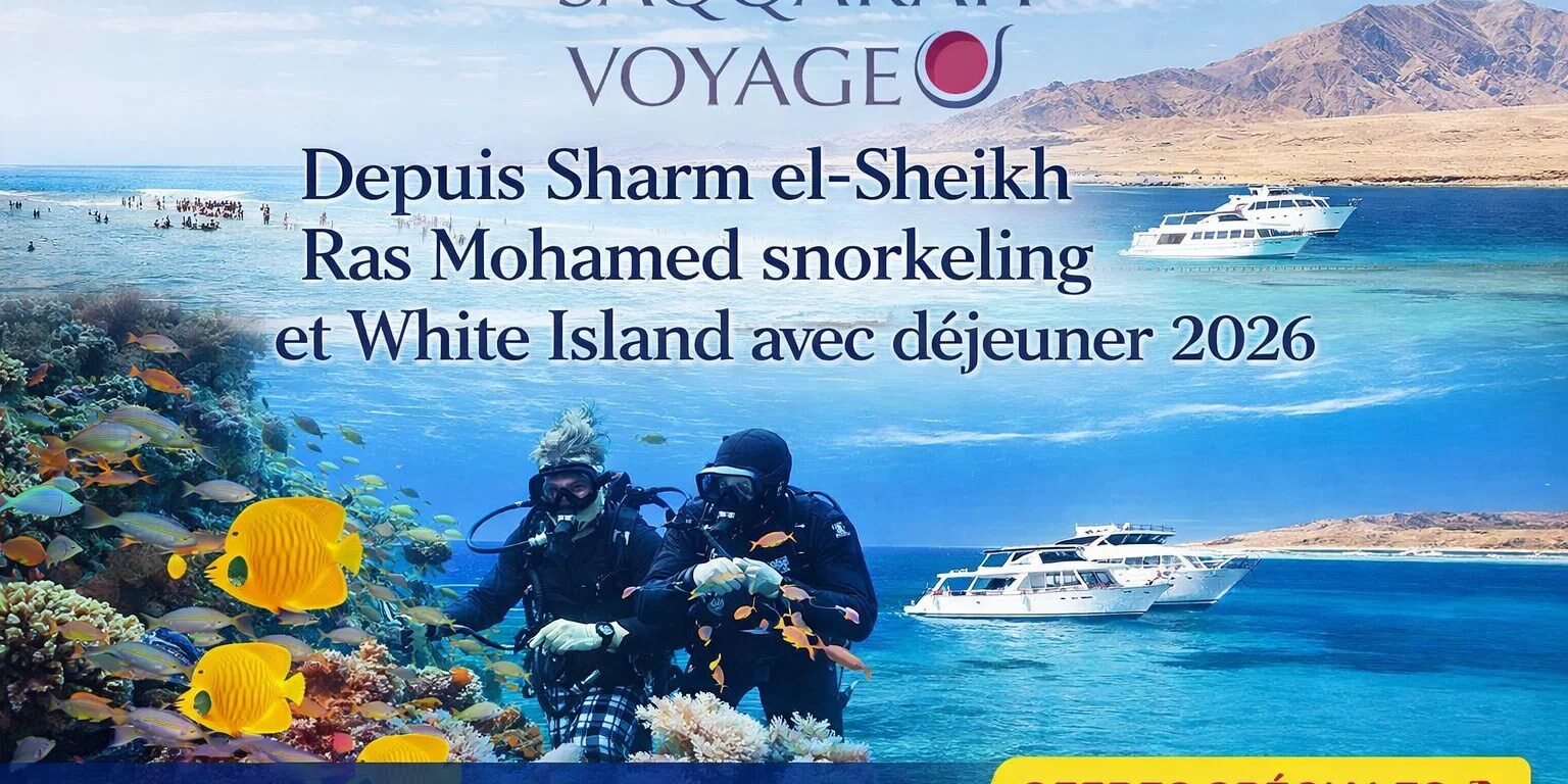 Depuis Sharm el-Sheikh Ras Mohamed snorkeling et White Island avec déjeuner 2026