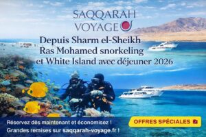 Depuis Sharm el-Sheikh Ras Mohamed snorkeling et White Island avec déjeuner 2026