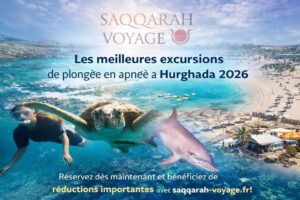 Les meilleures excursions de plongée en apnée à Hurghada 2026